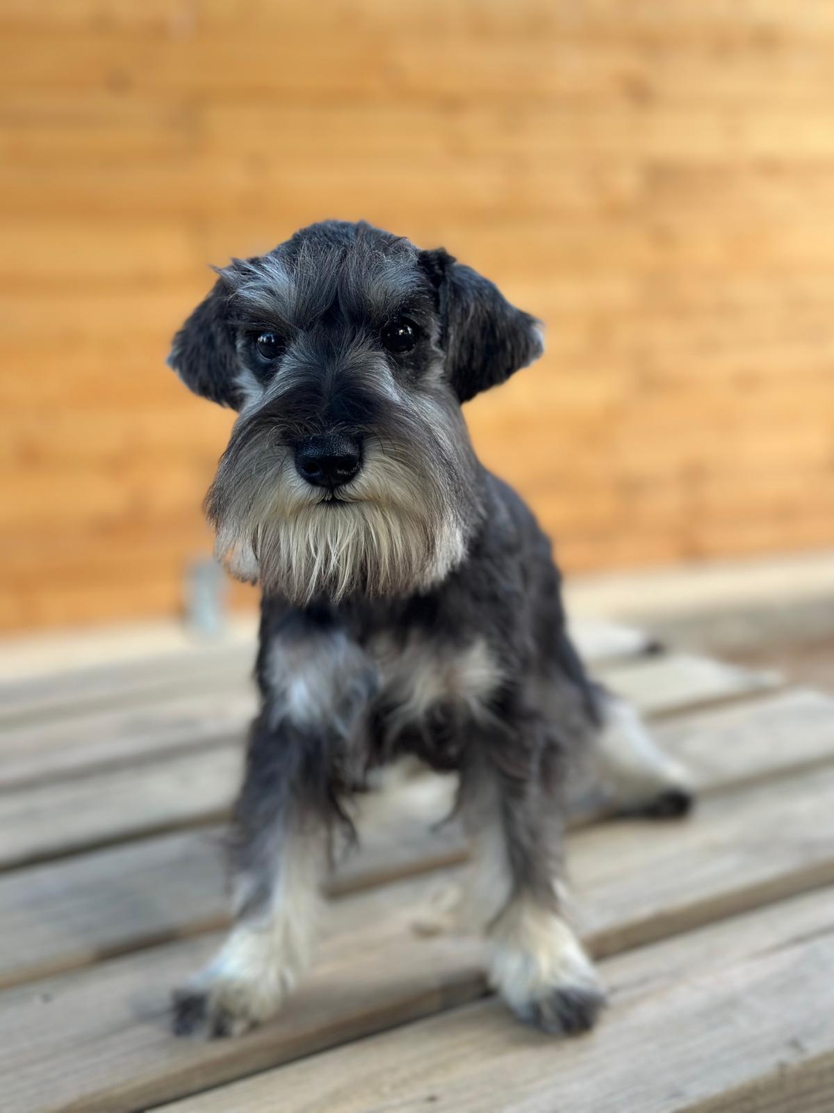 WhatsApp Image 2025-12-11 at 13.14.48