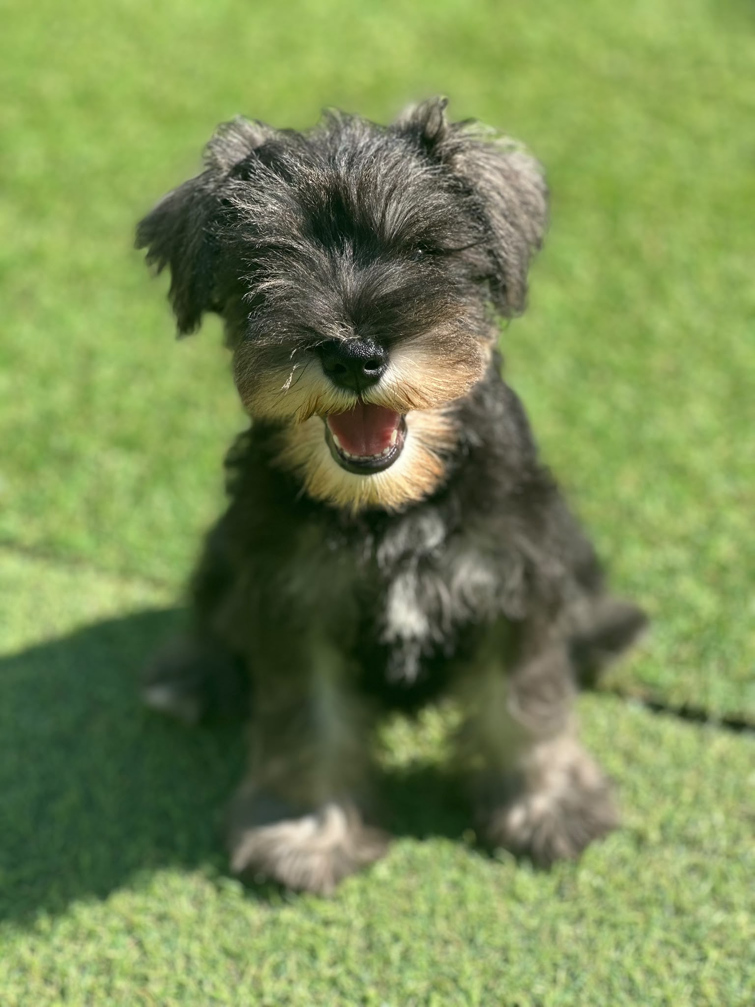 FINN