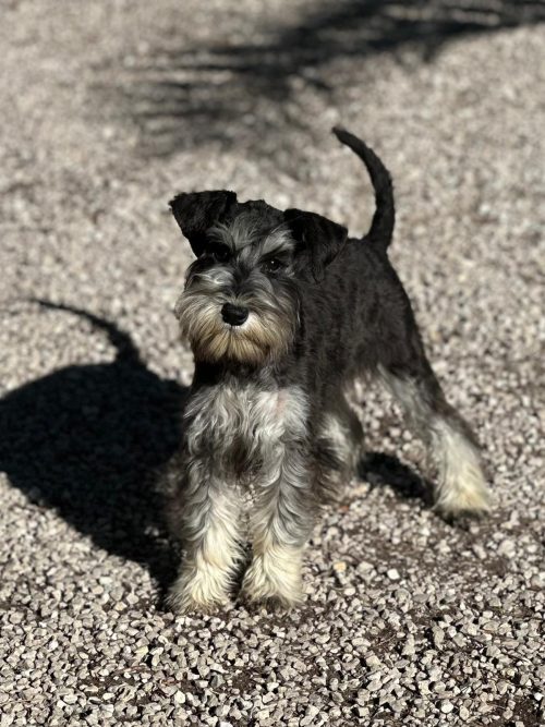 WhatsApp Image 2026-01-15 at 16.25.38